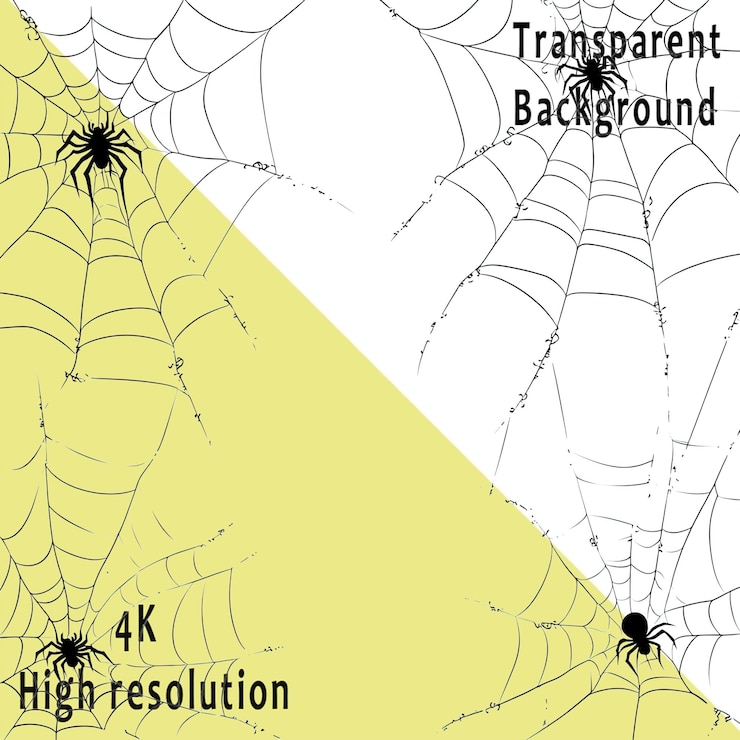 PSD fondo blanco red de araña colgando en el lado izquierdo de un estandarte blanco ilustración vectorial líneas simples minimalismo esquema de colores negro y gris fondo blanco png