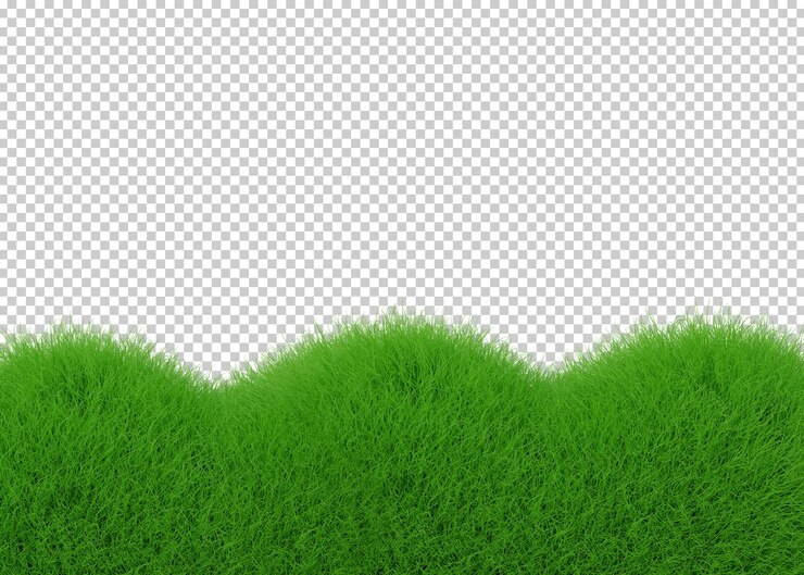 PSD fondo de conceptos de naturaleza de hojas verde oscuro tropical