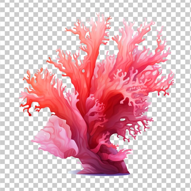 PSD fondo de coral png de acuarela