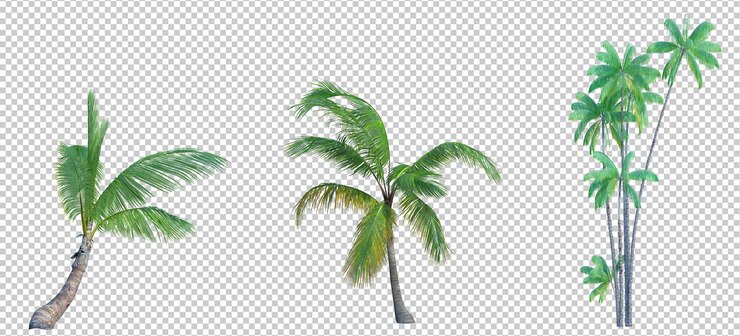 PSD el fondo del corte aislado del árbol de renderización 3d