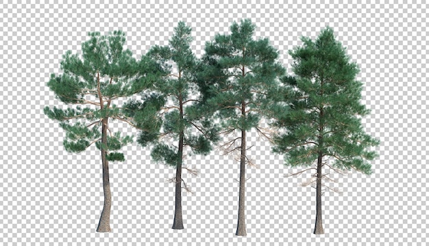 El fondo del corte aislado del árbol de renderización 3d