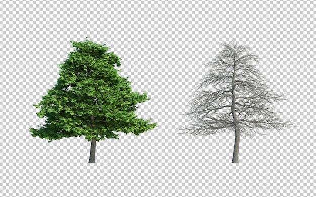 El fondo del corte aislado del árbol de renderización 3D