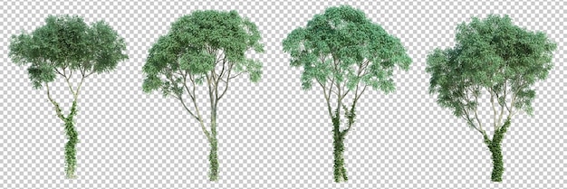 PSD el fondo del corte aislado del árbol de renderización 3d