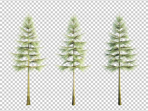 El fondo del corte aislado del árbol de renderización 3D