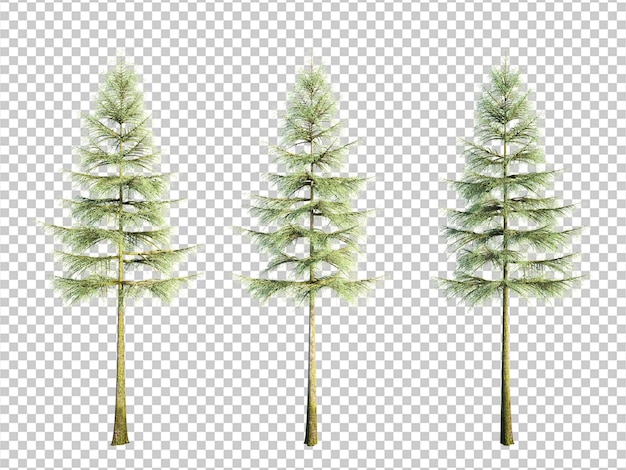 PSD el fondo del corte aislado del árbol de renderización 3d