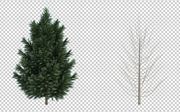 El fondo del corte aislado del árbol de renderización 3D