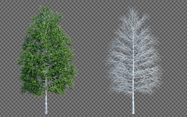 PSD el fondo del corte aislado del árbol de renderización 3d