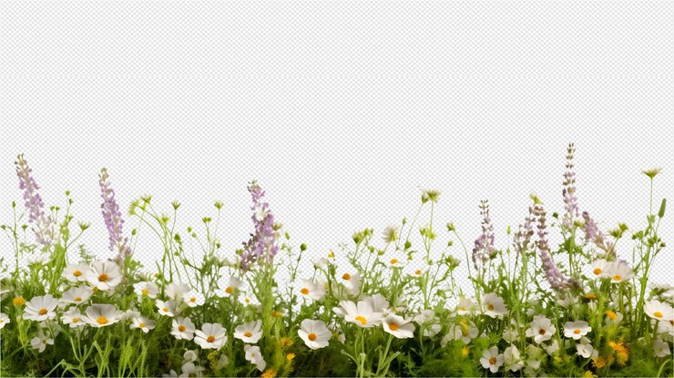 fondo floral