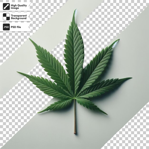 PSD fondo de hoja de marihuana psd en fondo transparente con capa de máscara editable