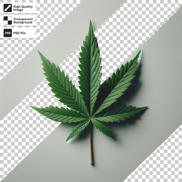 PSD fondo de hoja de marihuana psd en fondo transparente con capa de máscara editable