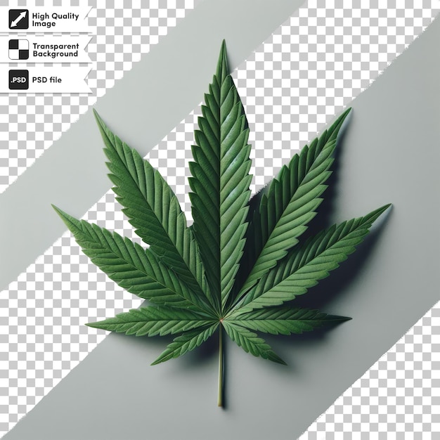 PSD fondo de hoja de marihuana psd en fondo transparente con capa de máscara editable