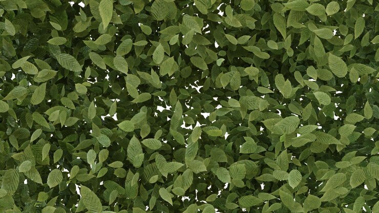 PSD fondo de la hoja verde