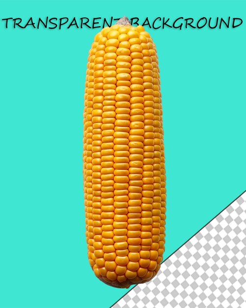 PSD fondo de maíz realista png