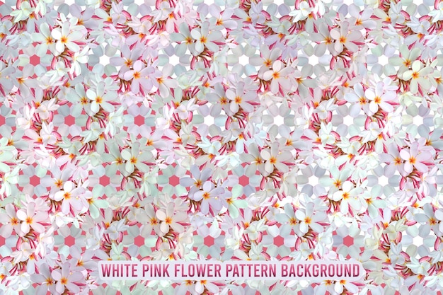 Fondo senza cuciture alla moda del modello floreale rosa bianco