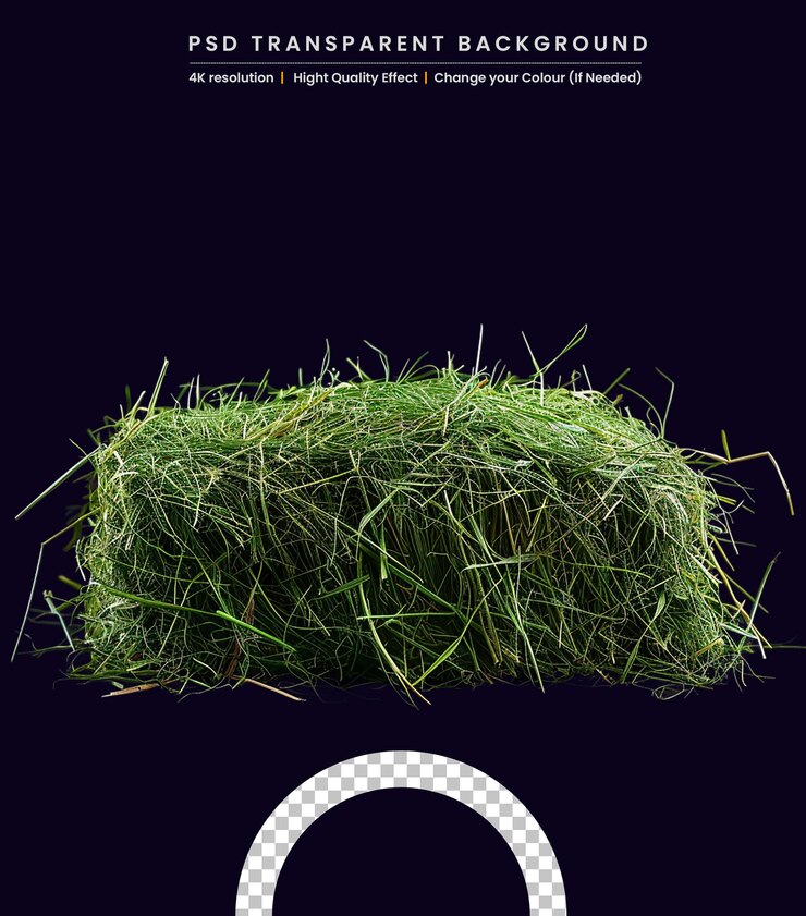 PSD el fondo de la textura de thuya tuja