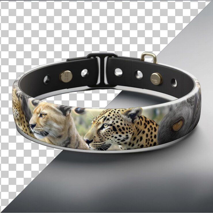 PSD fondo transparente con aislado fotográfico realista conservacionista de la vida silvestre _ s collar de seguimiento un primer plano de un gato negro y marrón con orejas puntiagudas ojos negros y nariz negra