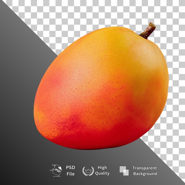 Fondo transparente aislado de mango