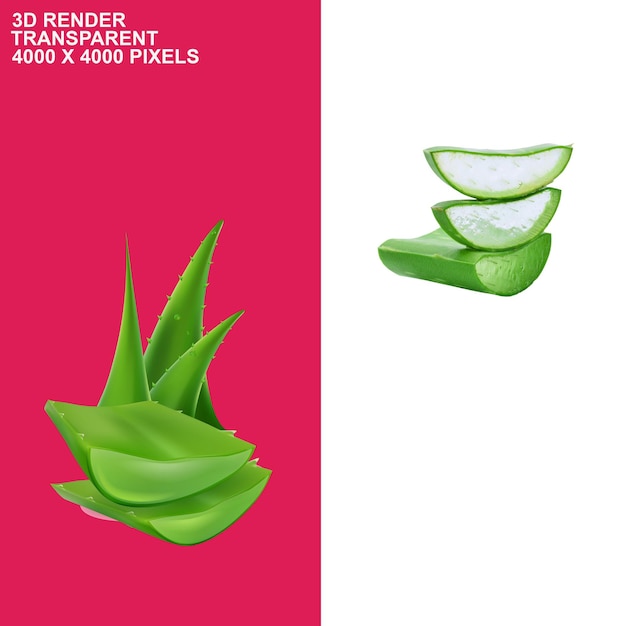 Fondo transparente de aloe vera