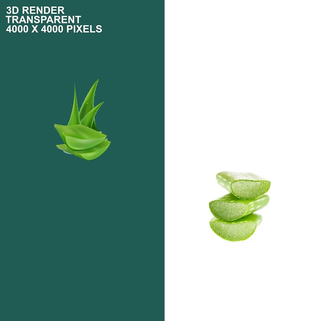 Fondo transparente de aloe vera