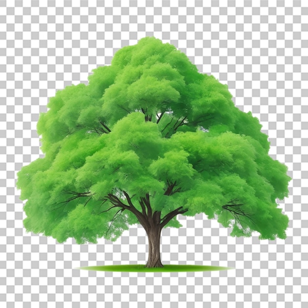 PSD un fondo transparente de árbol de un color