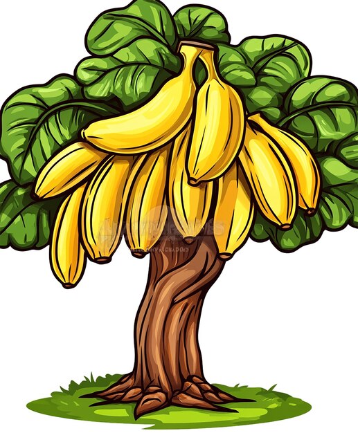 fondo transparente de árbol de plátano