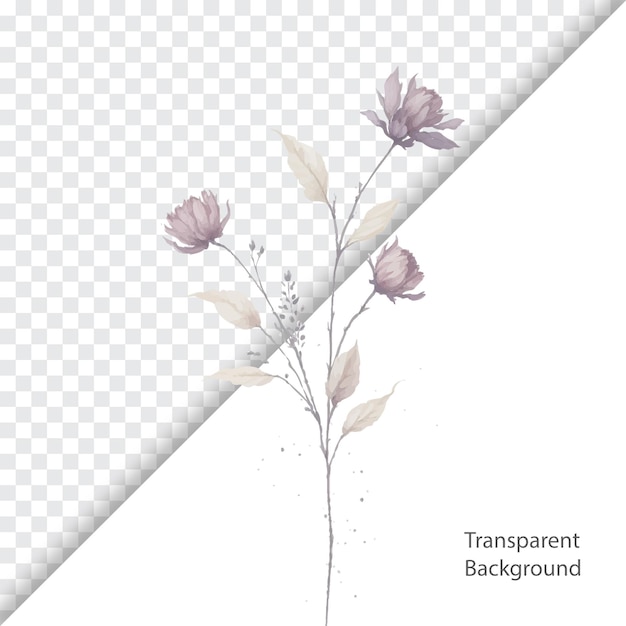 fondo transparente de flor acuarela