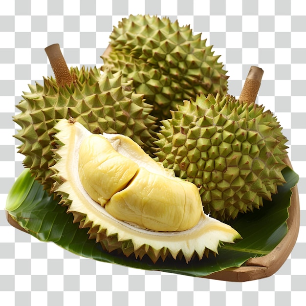 PSD fondo transparente de frutas de durian