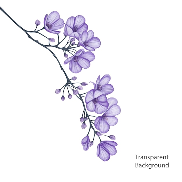 fondo transparente de ilustración de rama de flor púrpura
