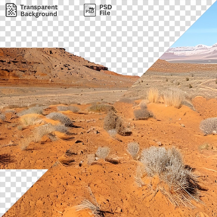 PSD fondo transparente con ksue84521 aislado _ una _ solitaria _ roca _ formación _ en el desierto _ 071df1e0 2d34 4e55 8d98 8983580e8694