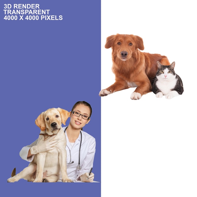 fondo transparente para perros y gatos