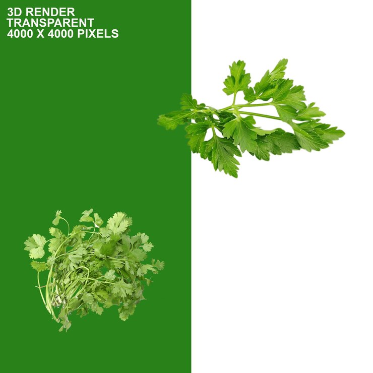 PSD fondo transparente de verduras saludables