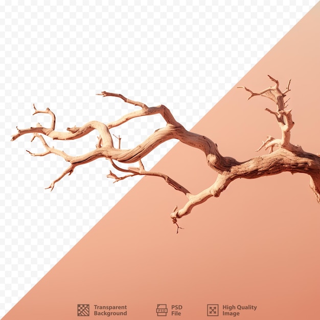 PSD fondo de un tronco de rama de árbol