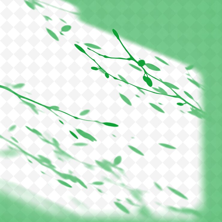 PSD un fondo verde con un fondo blanco y verde con una rama de árbol
