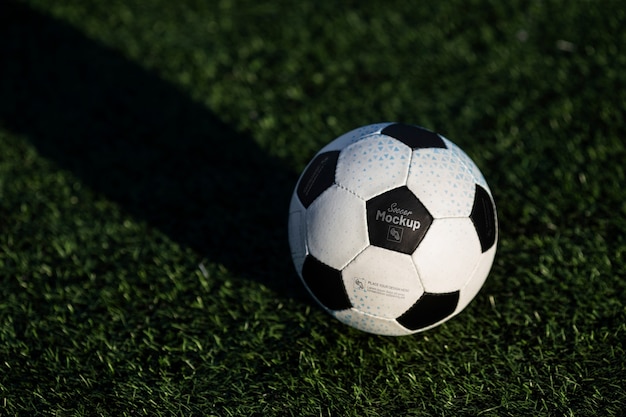 Football à angle élevé sur l'herbe à l'extérieur