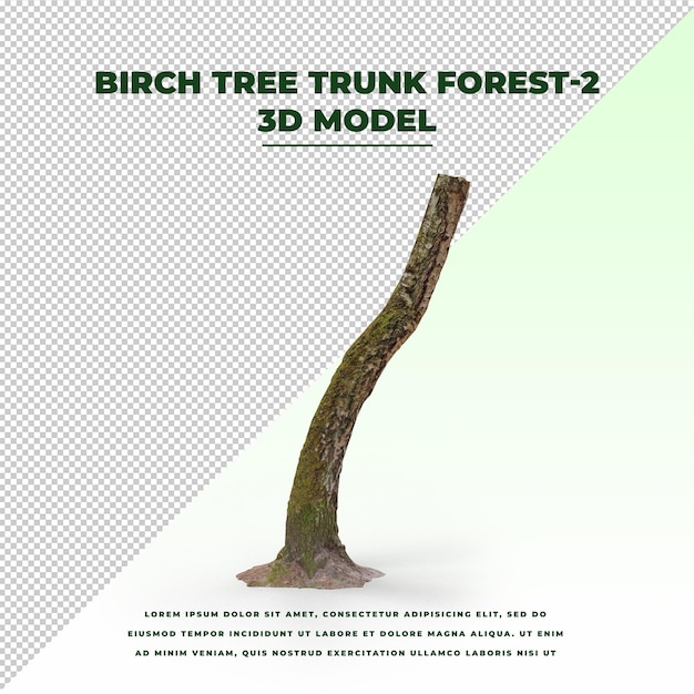 Foresta del tronco di betulla