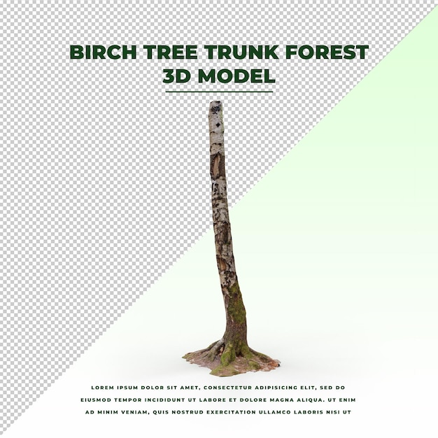 Foresta del tronco di betulla