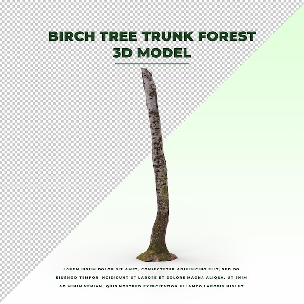 Foresta del tronco di betulla