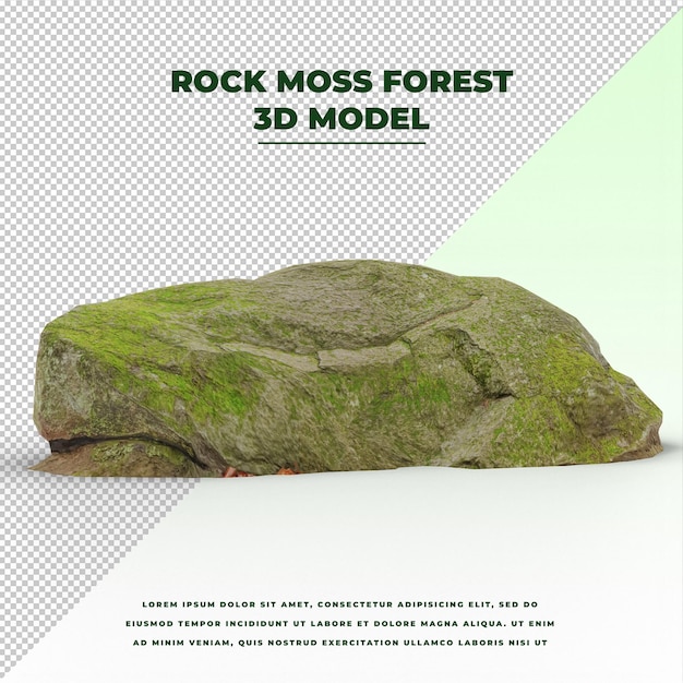 Foresta di muschio roccioso