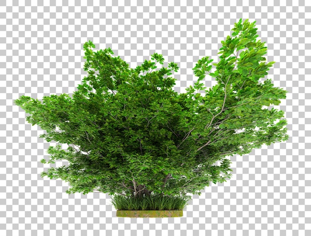 Foresta isolata su sfondo trasparente 3d rendering illustrazione