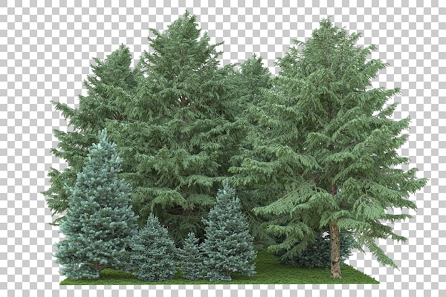 Foresta isolata su sfondo trasparente 3d rendering illustrazione