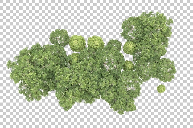 Foresta realistica isolata su sfondo trasparente illustrazione di rendering 3d