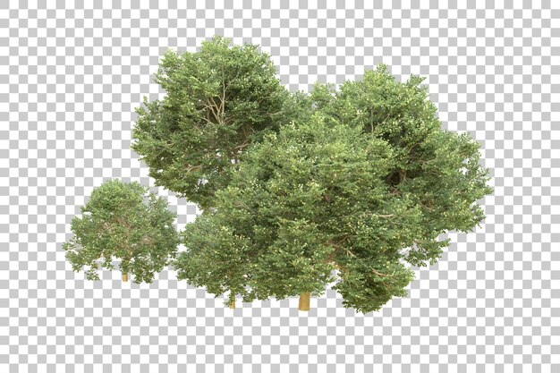 Foresta realistica isolata su sfondo trasparente illustrazione di rendering 3d