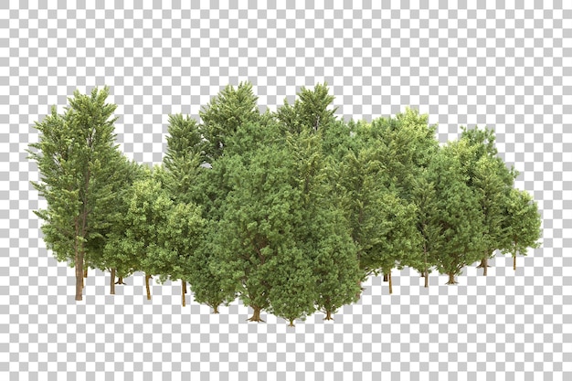 Foresta realistica isolata su sfondo trasparente illustrazione di rendering 3d