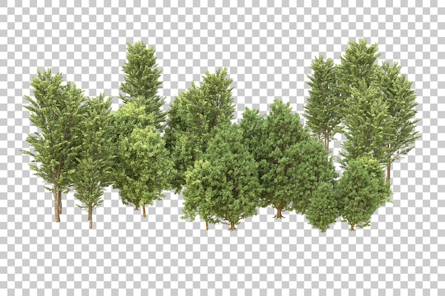 Foresta realistica isolata su sfondo trasparente illustrazione di rendering 3d