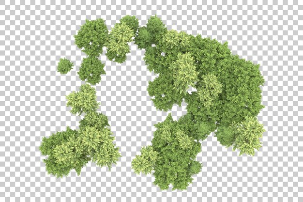 Foresta realistica isolata su sfondo trasparente illustrazione di rendering 3d