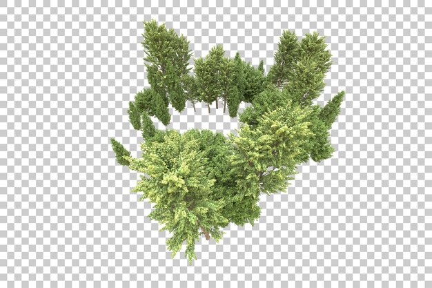 Foresta realistica isolata su sfondo trasparente illustrazione di rendering 3d