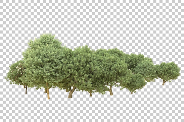 Foresta realistica isolata su sfondo trasparente illustrazione di rendering 3d