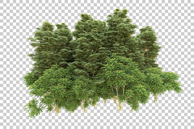 Foresta realistica isolata su sfondo trasparente illustrazione di rendering 3d