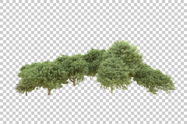 Foresta realistica isolata su sfondo trasparente illustrazione di rendering 3d