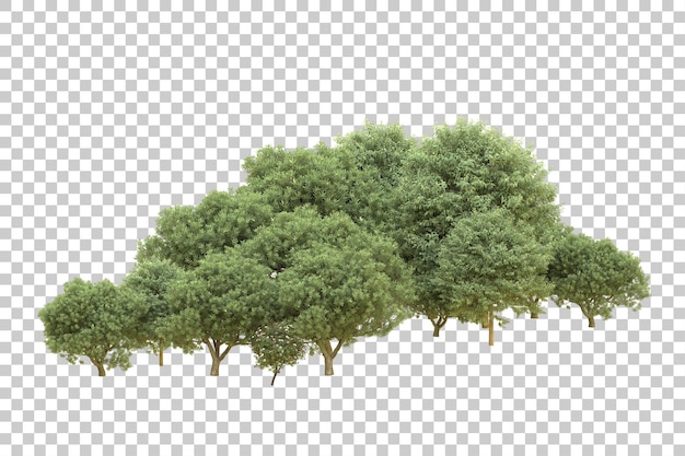 Foresta realistica isolata su sfondo trasparente illustrazione di rendering 3d